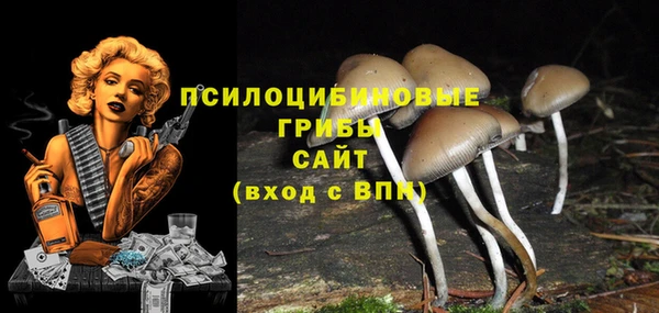 спиды Балахна